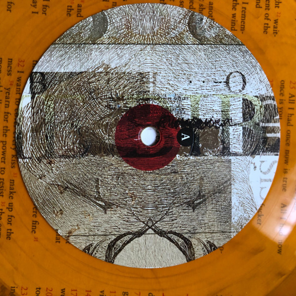 Lambchop / The Bible (Coloured Vinyl)(2LP)