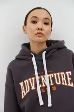 Худи Miracle Apparel Adventure University Винтажный серый