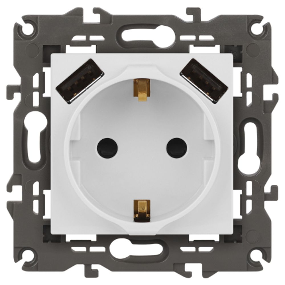 Розетка ЭРА Elegance 14-4109-01М 2P+E 16A-250В штор. с 2xUSB 5В-3А белый матовый | Эра Elegance