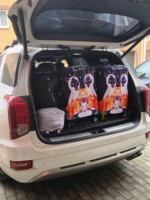 Чехол для чемодана принт Кошки и сливки