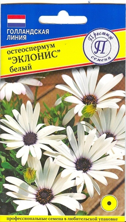 Остеоспермум Эклонис белый Престиж