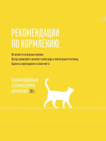 Мини-колбаски с пюре из лосося для кошек Деревенские лакомства (4х10г) набор из 10 упаковок по 40 гр
