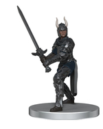 D&D Icons of the Realms: Dragonlance - Warrior Set