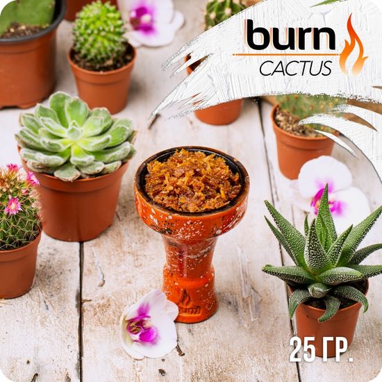 Burn (Cactus), 25 гр.