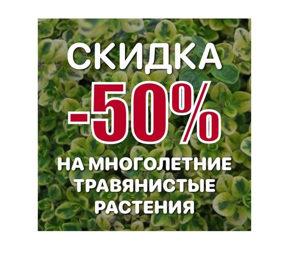 АКЦИЯ! На все многолетние травянистые растения - 50%