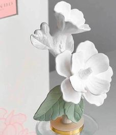 Fantasy Hibiscus, ароматический диффузор с необычными палочками, Chando