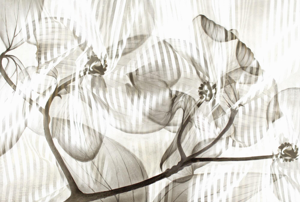 Дизайнерские обои Wall Street Mute