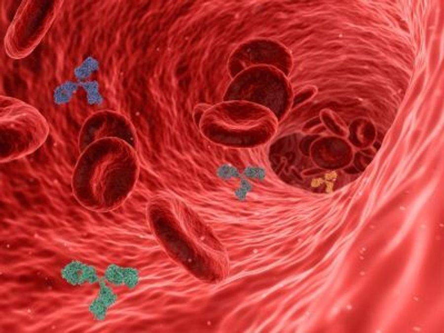 Учёные смогли напечатать кровеносные сосуды на 3D-принтере