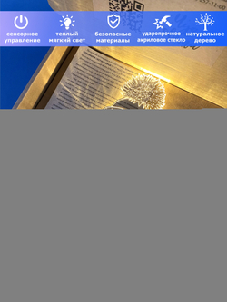 "Чудо света" светильник-ночник "Снеговичок"