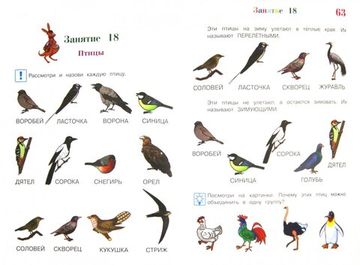 Познаю мир: для детей 4-5 лет