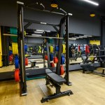 Диск обрезиненный FASSION цветной D51 мм PROFI-FIT 10 кг