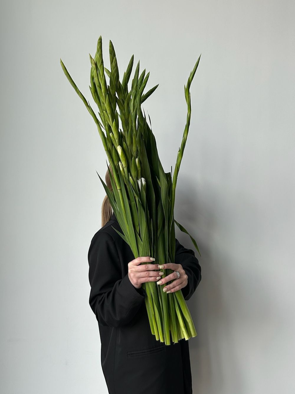 Гладиолус белый