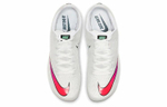 Кроссовки Nike Zoom 400