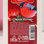 Гель для душа «С Новым годом» с ароматом спелой малины - 300 мл.