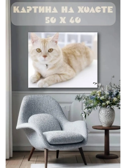 Картина на стену 40 X 50 Кошка
