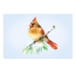 Сервировочная салфетка прямоугольная 26х41 см Кардинал