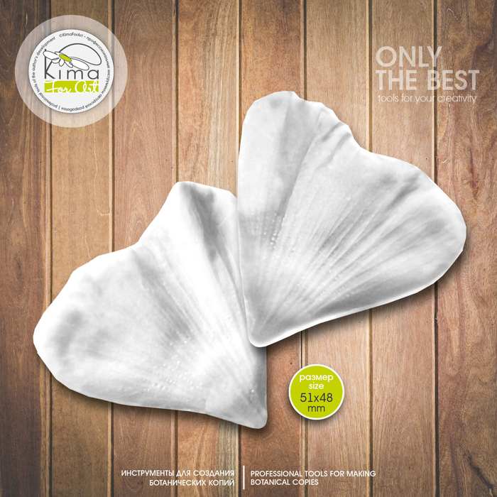 Лаватера лепесток большой