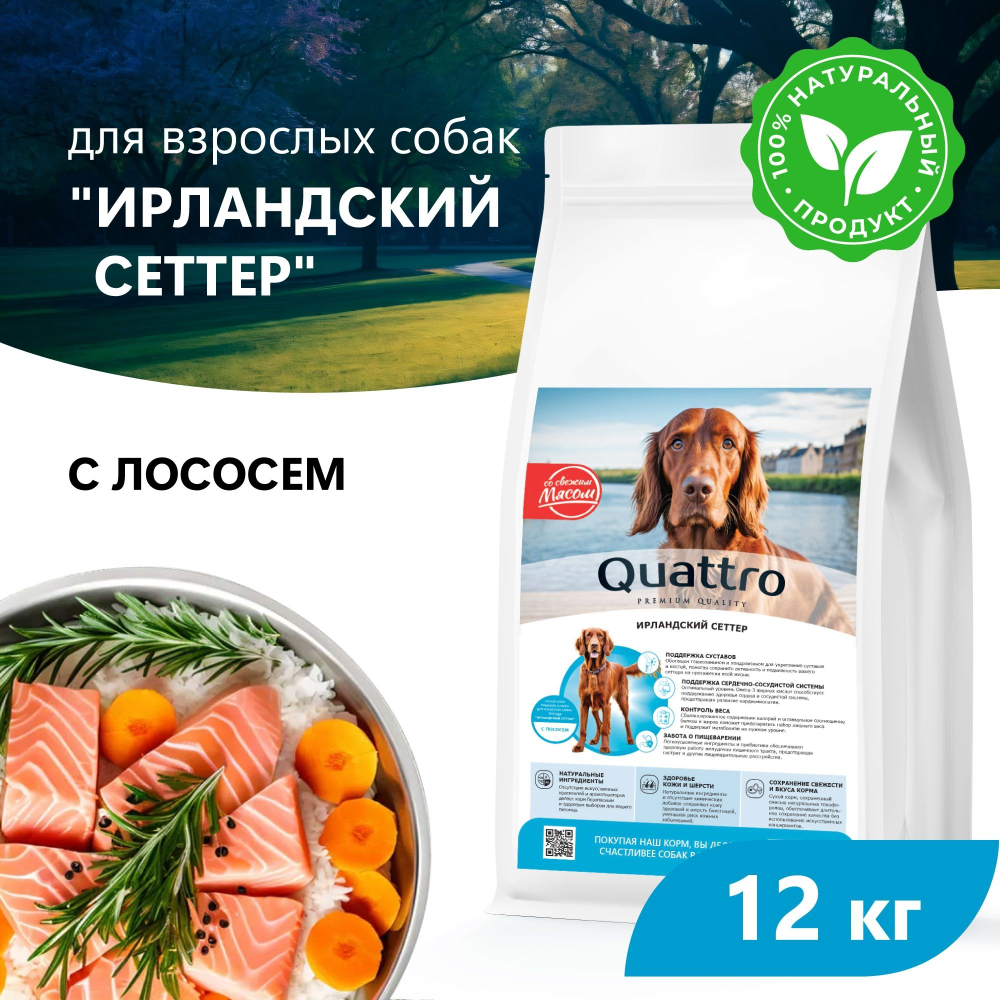 Корм сухой для взрослых собак породы Ирландский сеттер, премиум полнорационный комплекс, с лососем, 12 кг, QUATTRO