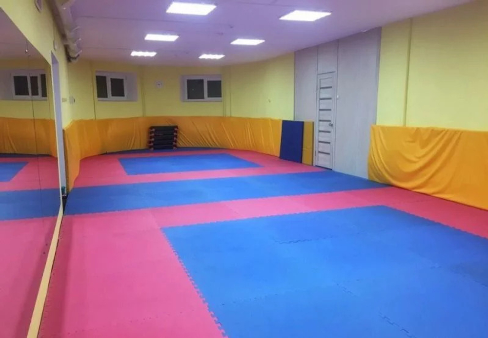 Будо-мат (татами) BABYPUZZ (1 плита 100x100x2см, 1кв.м./уп) "Сине-красный"