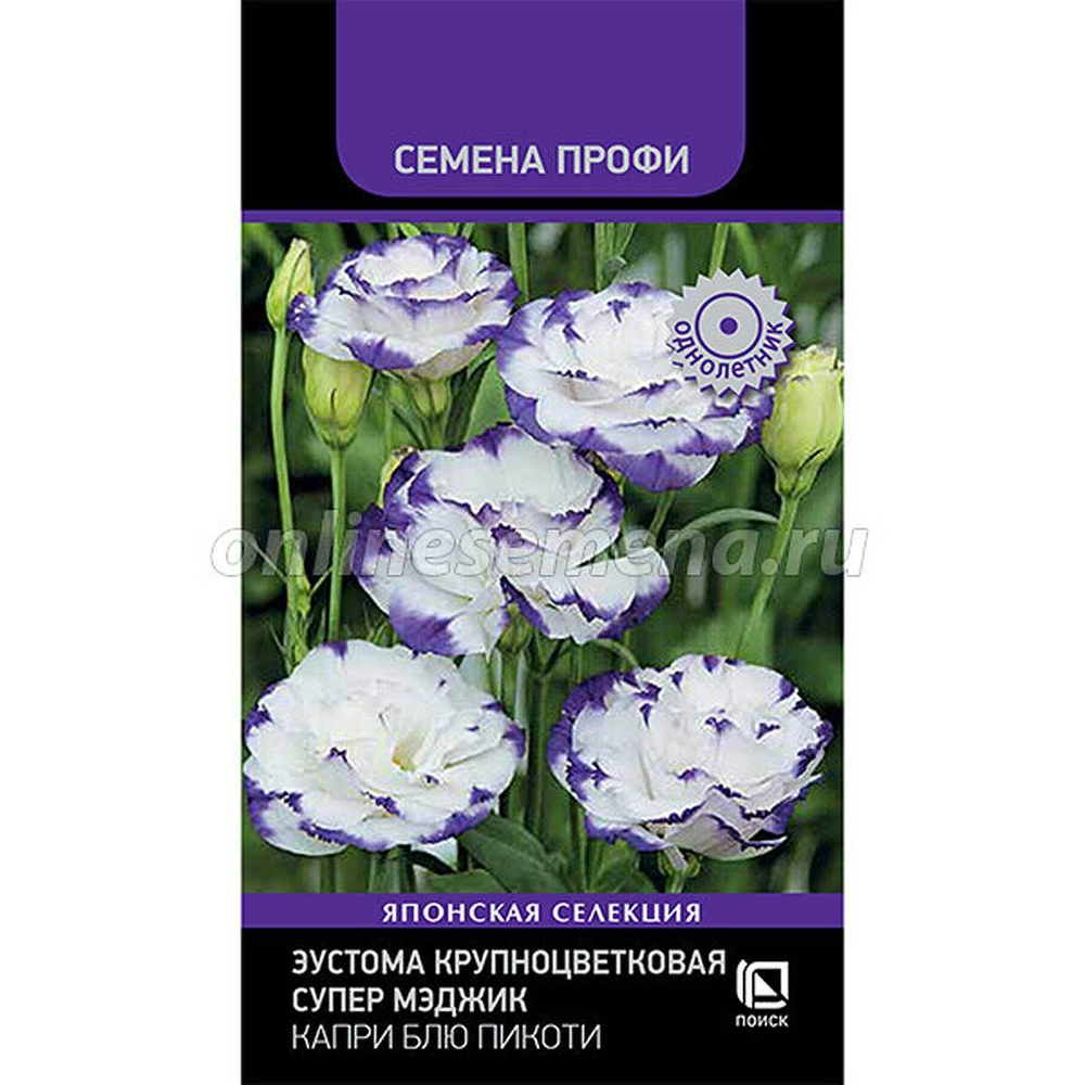 Эустома Супер Мэджик Капри Блю Пикоти Поиск Ц