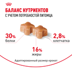 Royal Canin Labrador Retriever Puppy Лабрадор Ретривер Паппи Корм сухой для щенков породы Лабрадор Ретривер до 15 месяцев 3кг