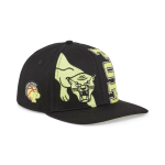 Кепка PUMA Hometown Heroes Low Curve BB CAP