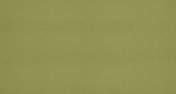 Атлас Kiwi (Киви) 11