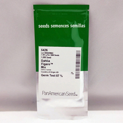 Георгина изменчивая FIGARO MIX