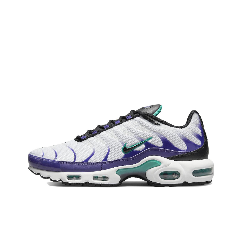 Мужские кроссовки Nike Air Max Plus 'Grape' DM0032‑100