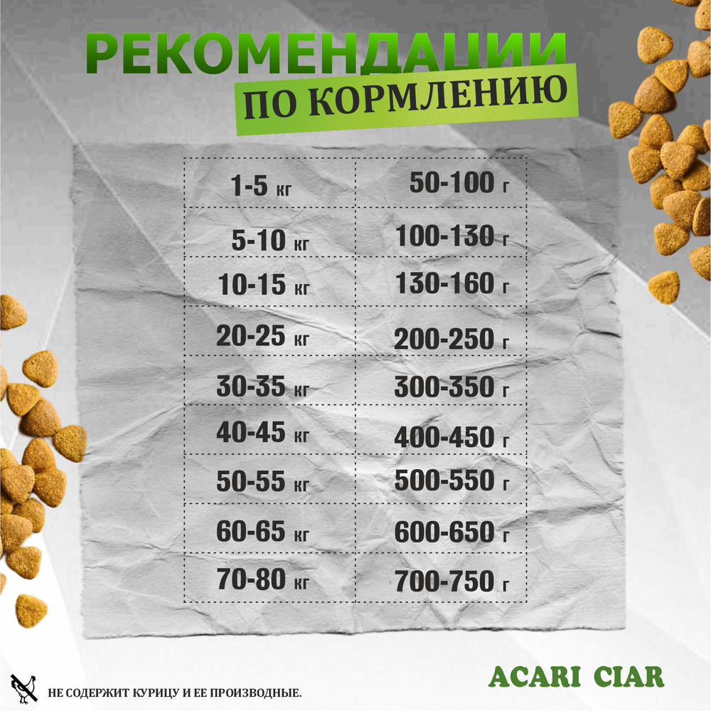 Acari Ciar Флагман