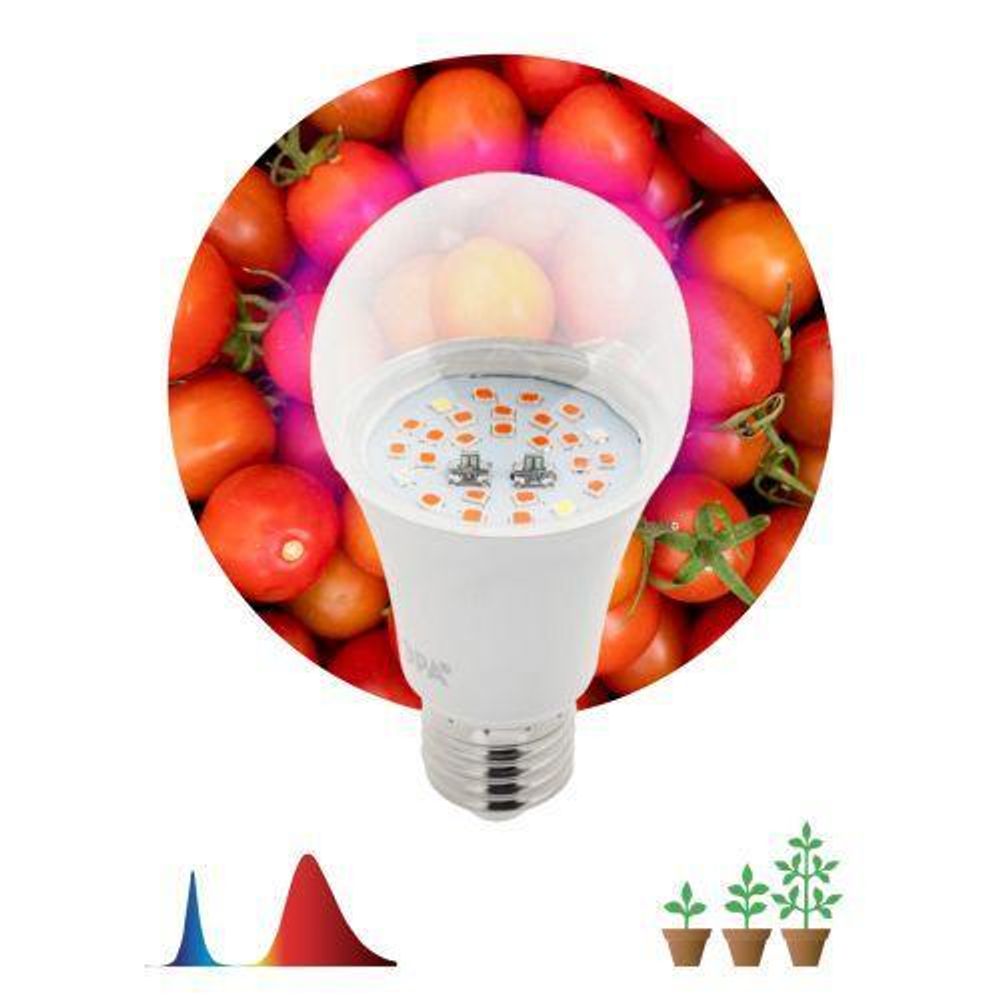 Лампа светодиодная FITO-10W-RB-E27 10Вт E27 для растений красн./син. спектр Эра Б0050600
