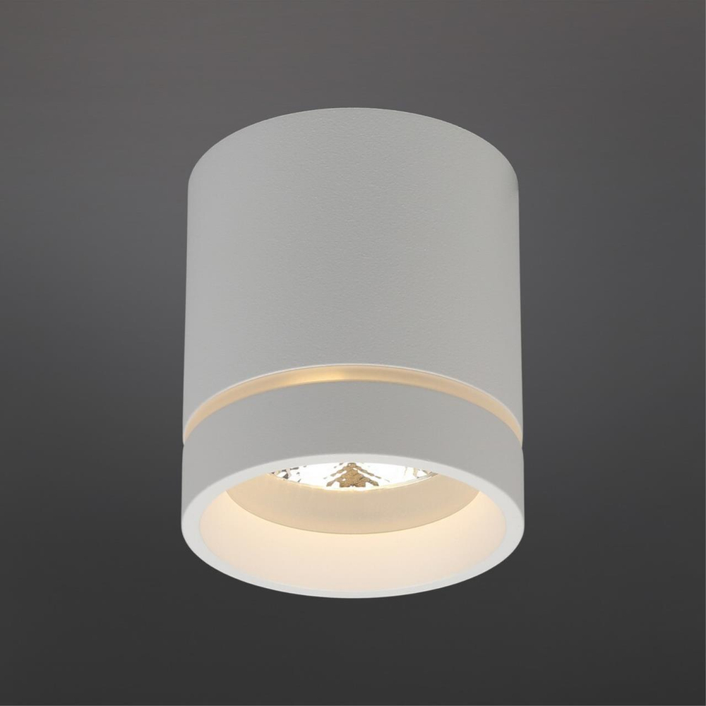 Накладной светодиодный светильник Aployt Gita APL.0043.09.05