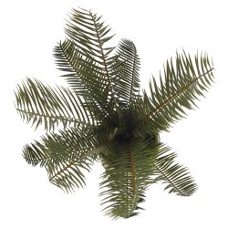 GAEM Цветочная композиция "Пальма", L23 W18 H45 см, 2в.