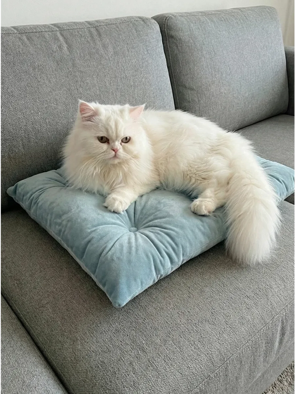 Лежанка для кошек и собак