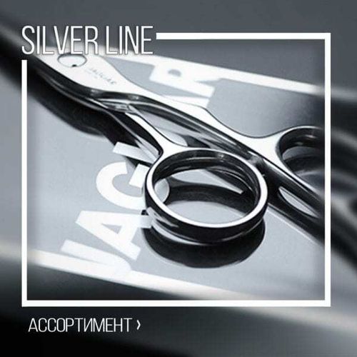 Silver Line