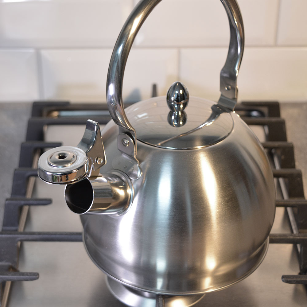 Чайник 2л нерж со свистком, матовый, ручка металлическая, индукция, "Daniks" GS-04314-2.0L/SMY-088