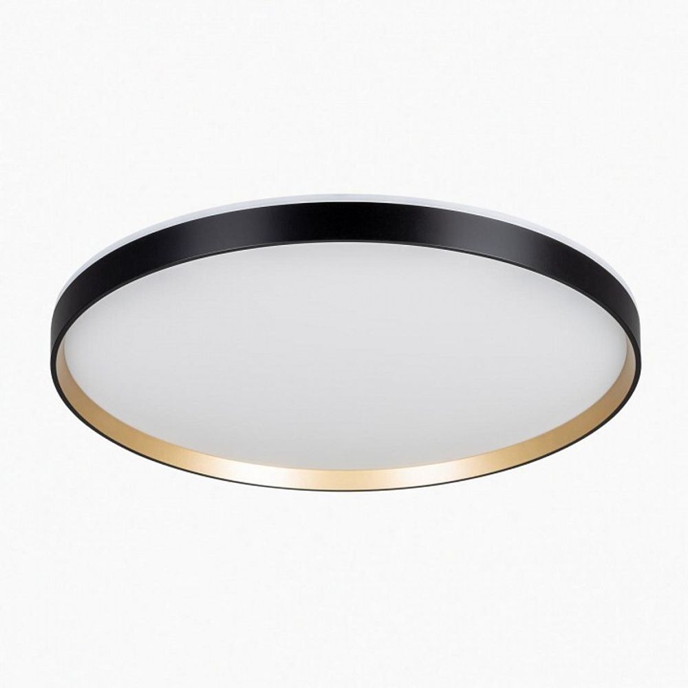 Накладной светильник Citilux ETALON CL750501R