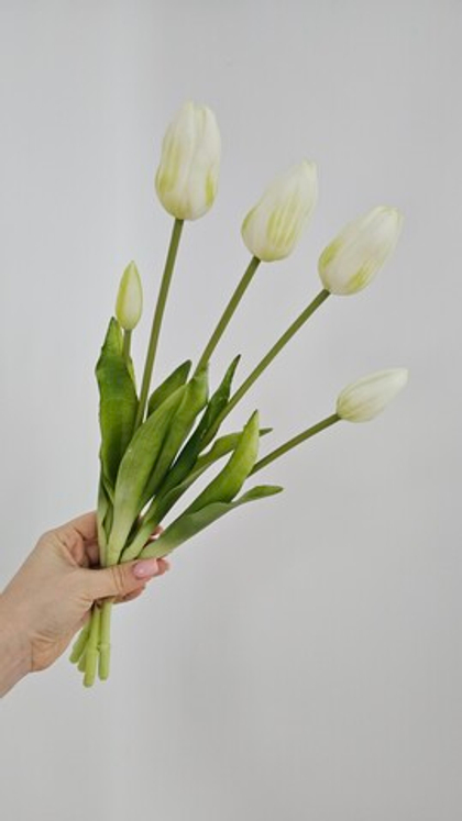 Тюльпаны закрытые / Арт 2451