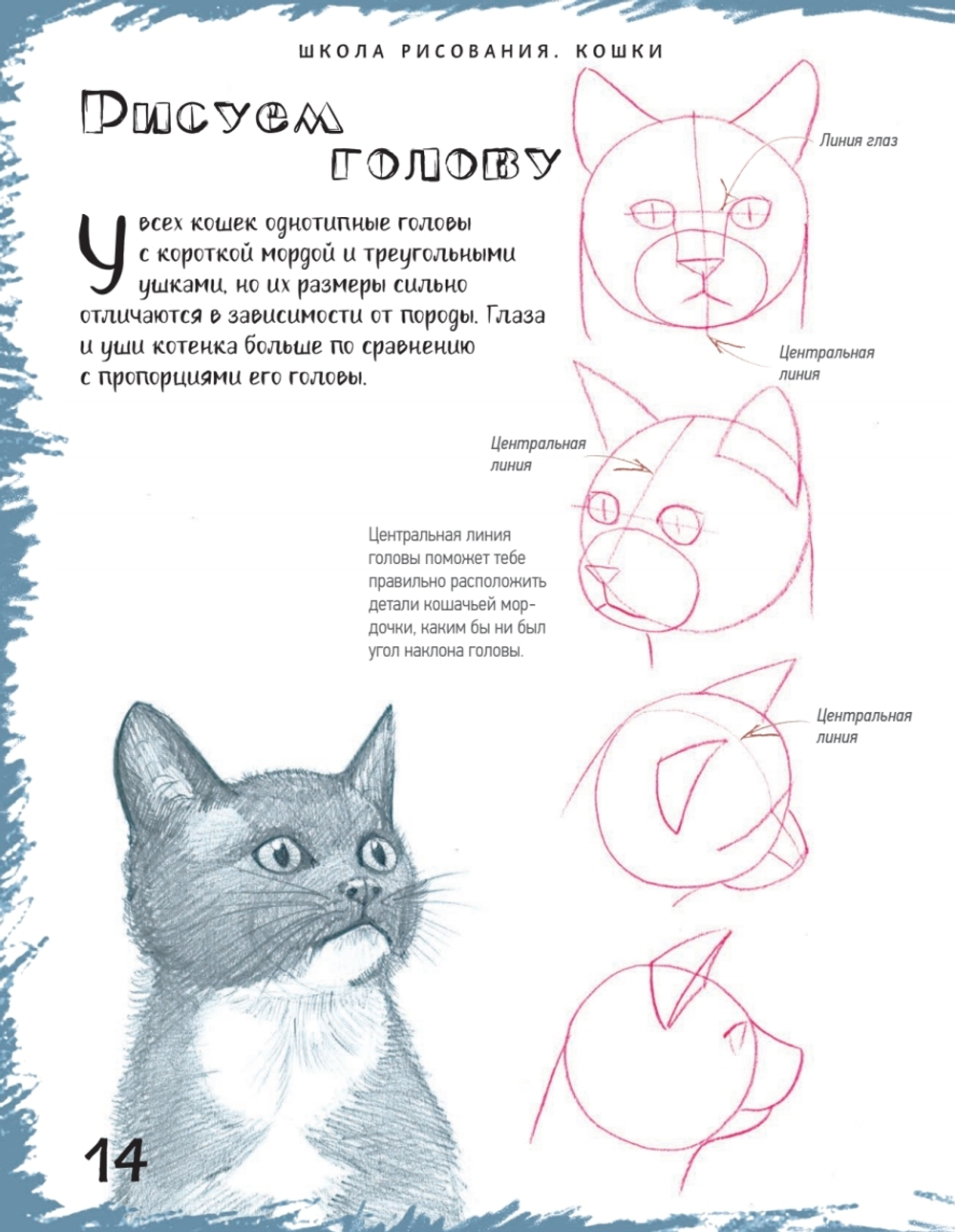 Школа рисования. Кошки