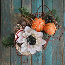 Лапка нобиуса 14 см