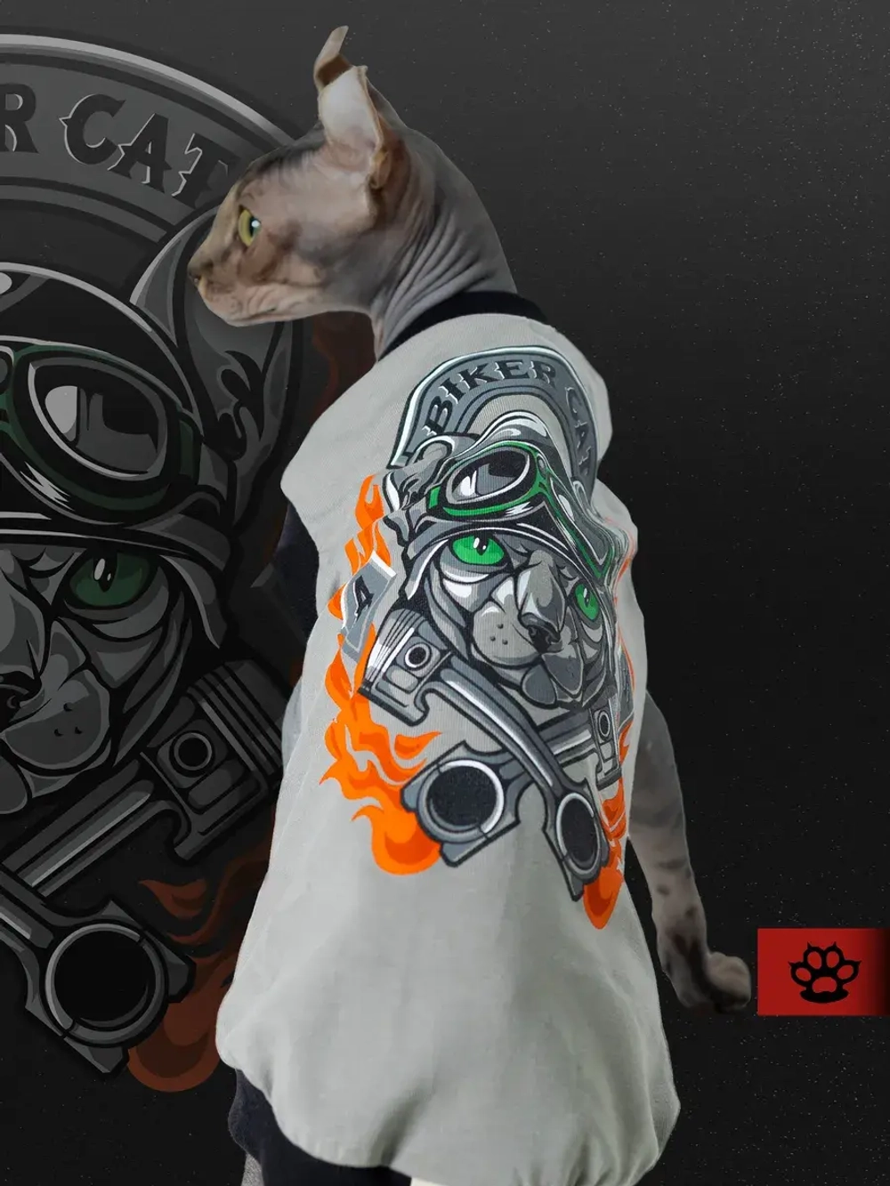 Одежда для кошек сфинкс