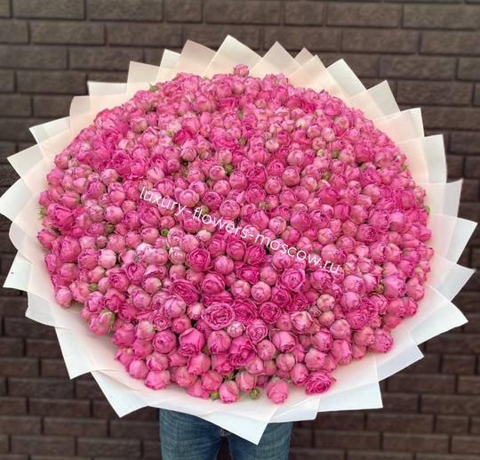 201 кустовая пионовидная 34