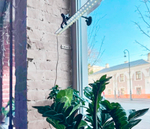 Фитолампа для освещения растений на подоконнике