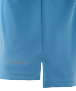 Футболка игровая DIVISION PerFormDRY Union Jersey, голубой/белый/белый