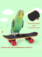 Игрушки для птиц. 5 в 1, развивающие аксессуары для волнистых попугайчиков и птиц