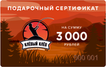 Подарочная карта номиналом 3 000 руб.