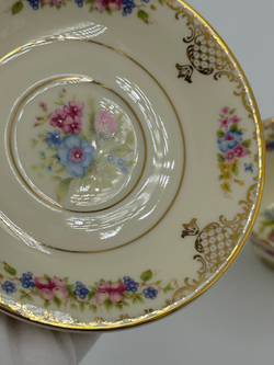 Кофейная пара Rosenthal, Floranada