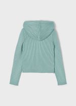 кофта с капюшоном