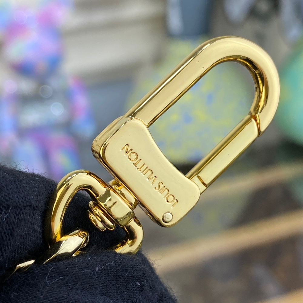 Louis Vuitton Chain