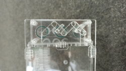 Пробирочная муравьиная ферма